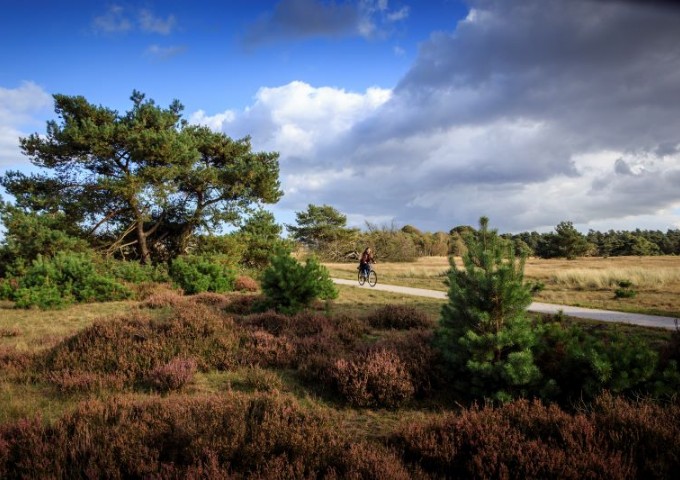 Fietsen door NP De Hoge Veluwe